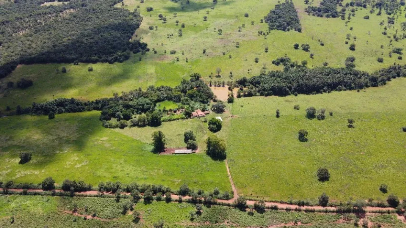 fazenda-de-100-alqueires-em-passos-mg-toda-formada-em-braquiaria-e-com-muita-agua-big-4